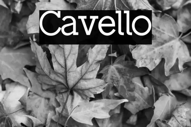 Cavello Font examples