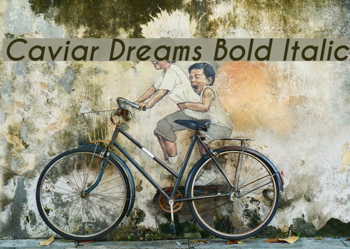 Caviar Dreams Bold Italic Font examples