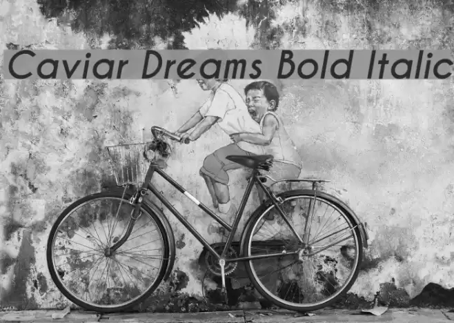 Caviar Dreams Bold Italic Font examples