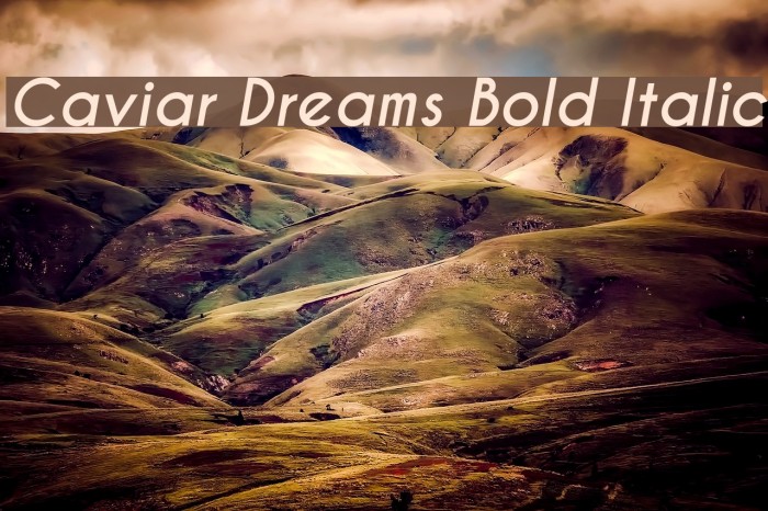 Caviar Dreams Bold Italic Font examples