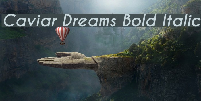 Caviar Dreams Bold Italic Font examples
