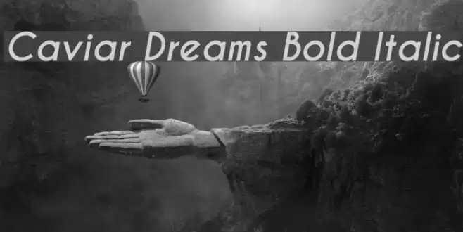 Caviar Dreams Bold Italic Font examples