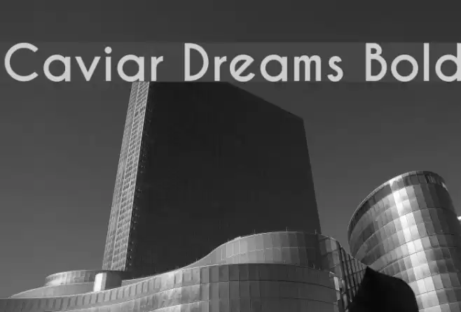Caviar Dreams Bold Font examples