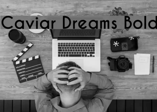 Caviar Dreams Bold Font examples