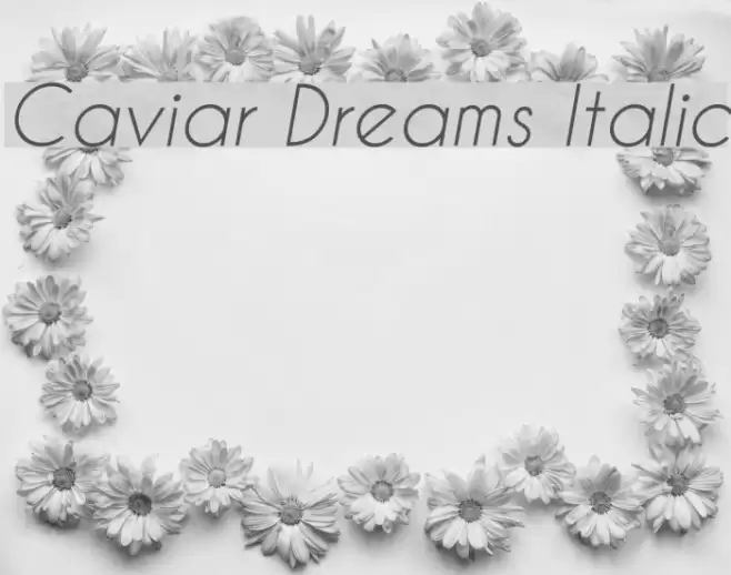 Caviar Dreams Italic examples