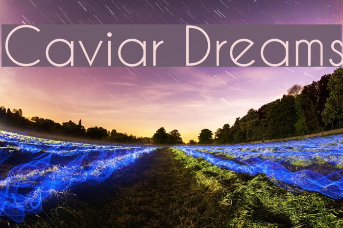 Caviar Dreams Font examples