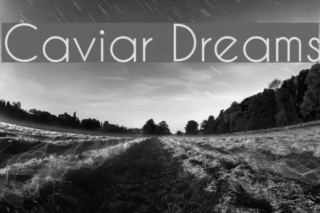 Caviar Dreams Font examples