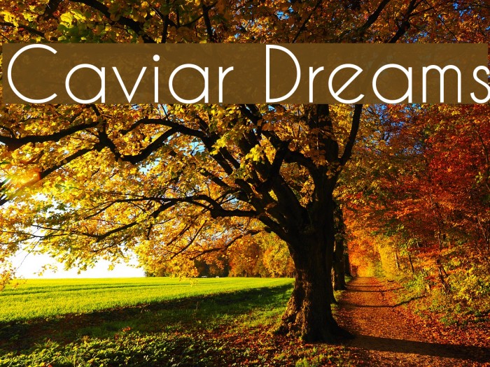 Caviar Dreams Font examples