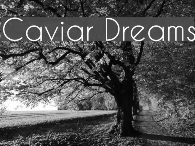 Caviar Dreams Font examples