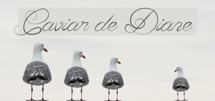 Caviar de Diane Font examples