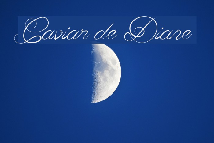 Caviar de Diane Font examples
