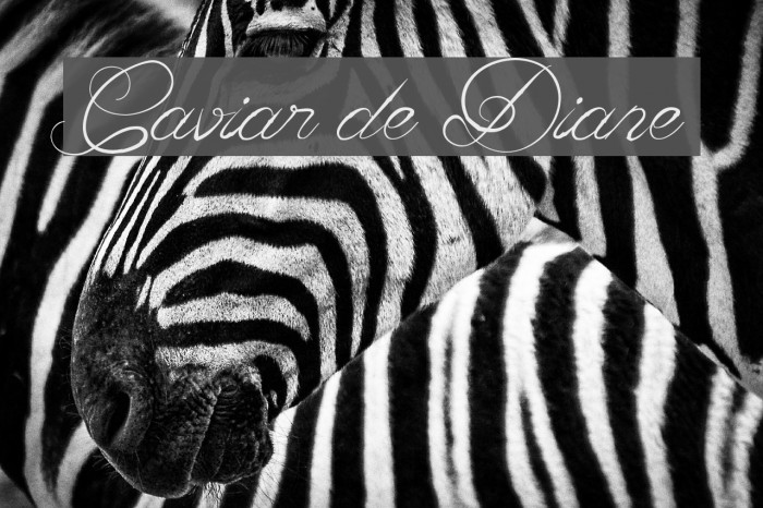 Caviar de Diane Font examples