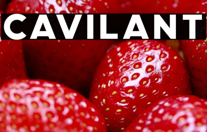 Cavilant Example 1