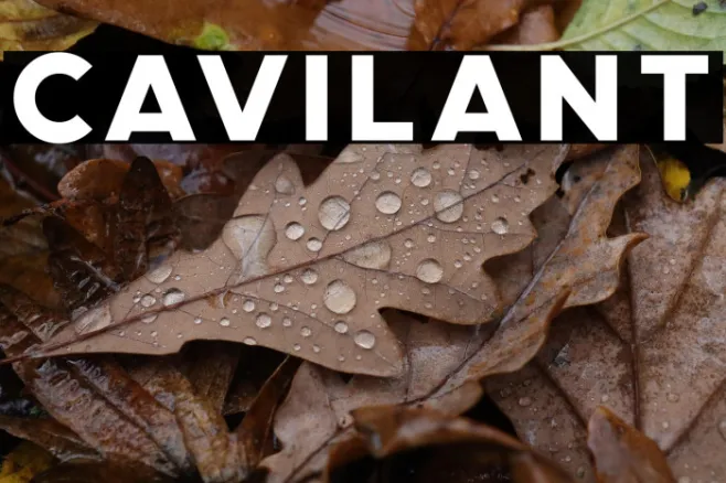 Cavilant Example 3