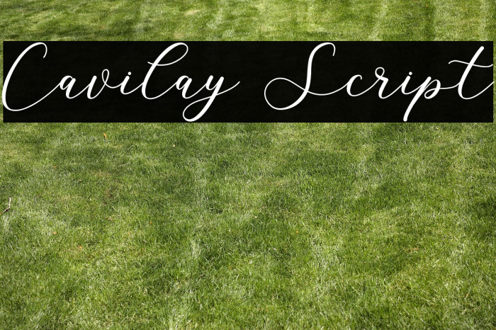 Cavilay Script Example 1