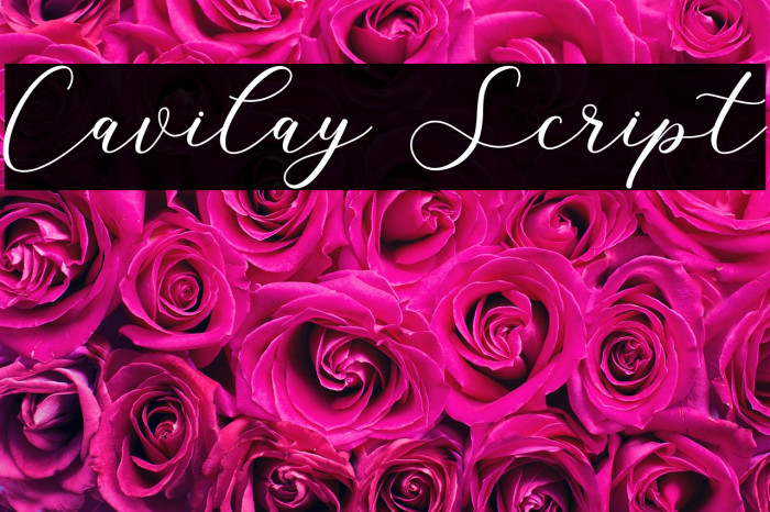 Cavilay Script Example 2