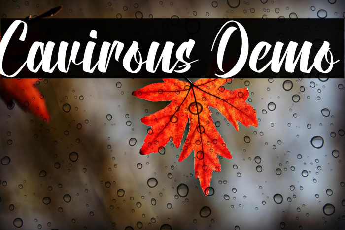 Cavirous Demo Example 3