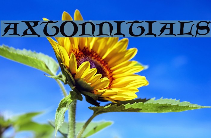 Caxton-Initials Example 3