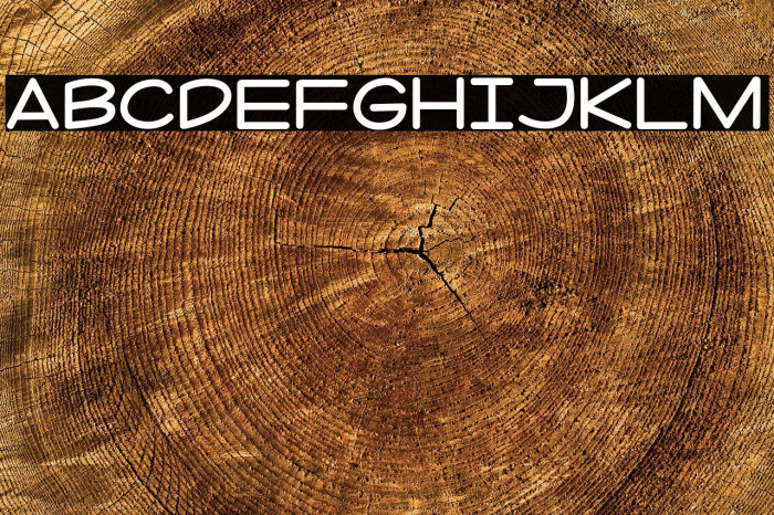 Cayank Qiu Example 1