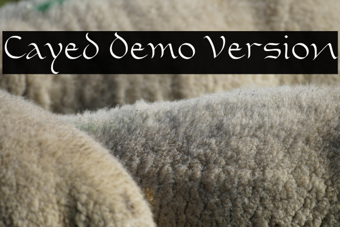 Cayed Demo Version Example 3