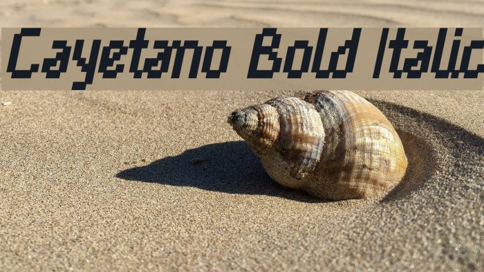 Cayetano Bold Italic Fonte examples