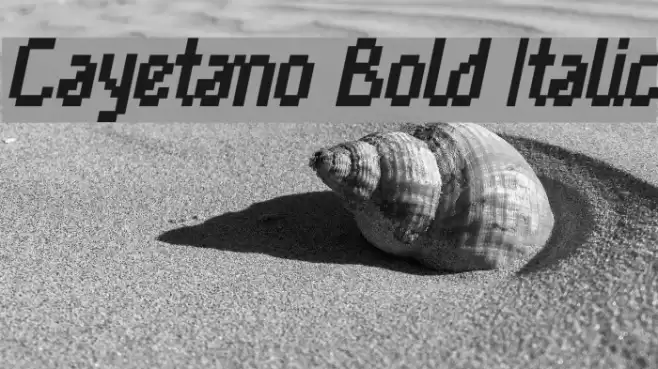 Cayetano Bold Italic Font examples