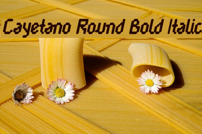Cayetano Round Bold Italic Font examples