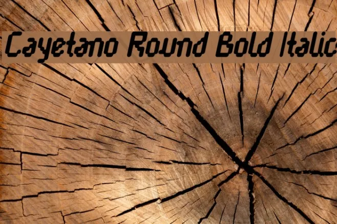 Cayetano Round Bold Italic Example 3