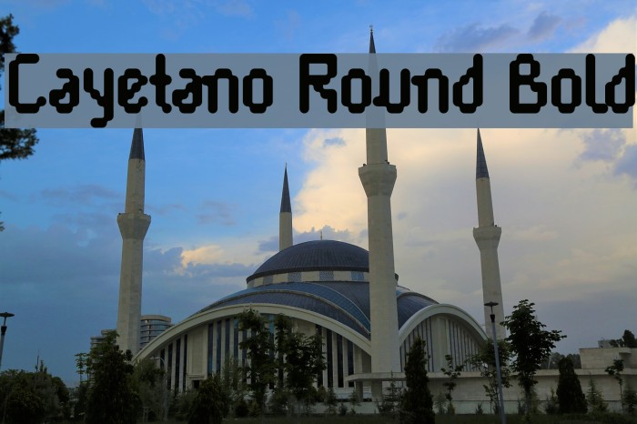 Cayetano Round Bold Polices examples