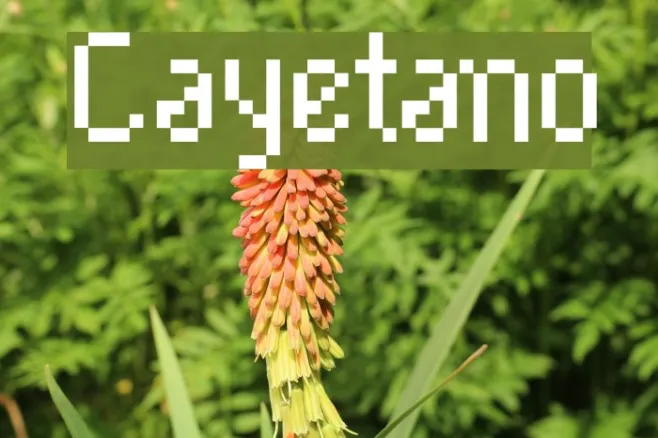 Cayetano Example 2