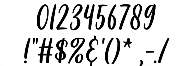 Cayla Stylish Font OTHER CHARS