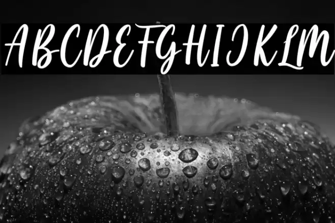 Cayla Stylish Font examples