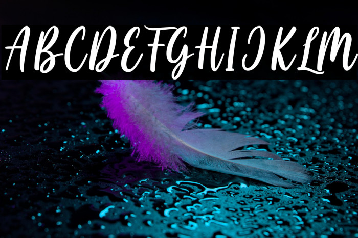 Cayla Stylish Example 3