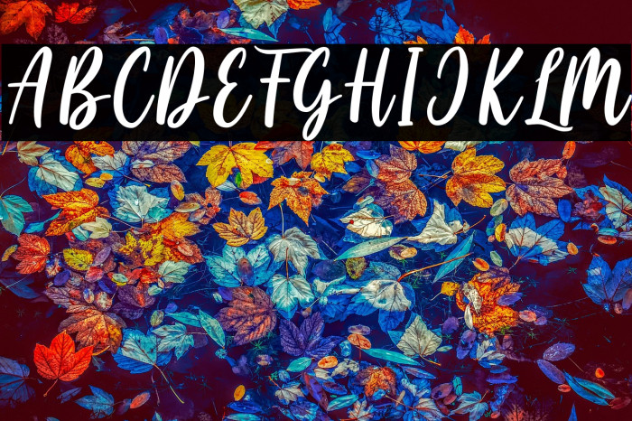 Cayla Stylish Example 2