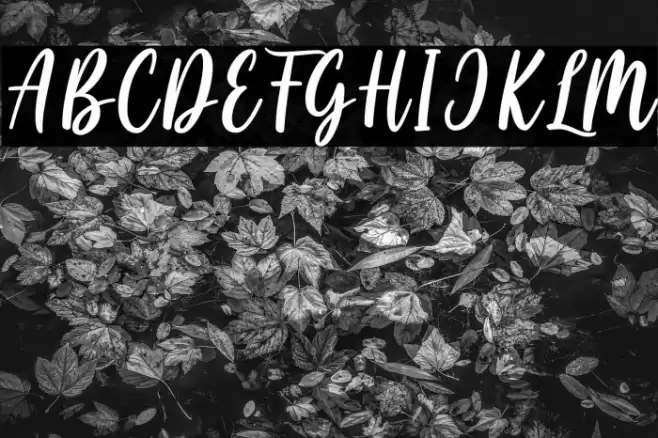 Cayla Stylish Font examples