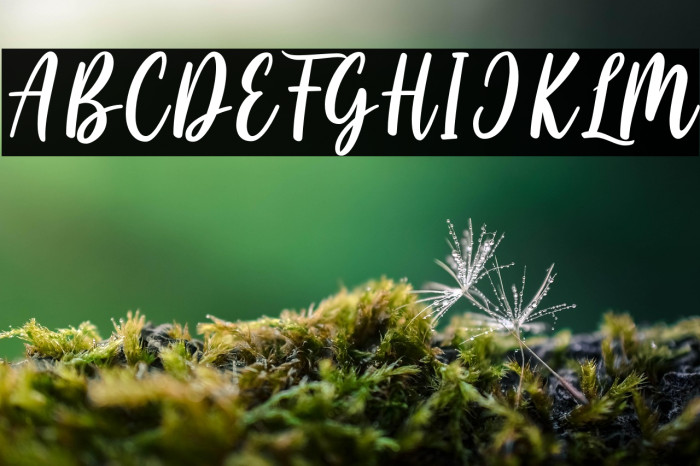 Cayla Stylish Example 3