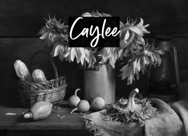 Caylee Font examples