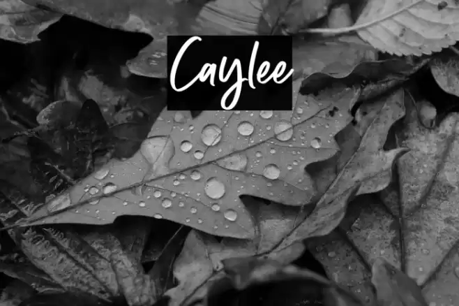 Caylee Font examples