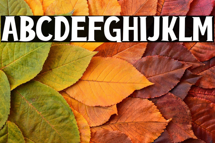 Cayman-Land Example 2