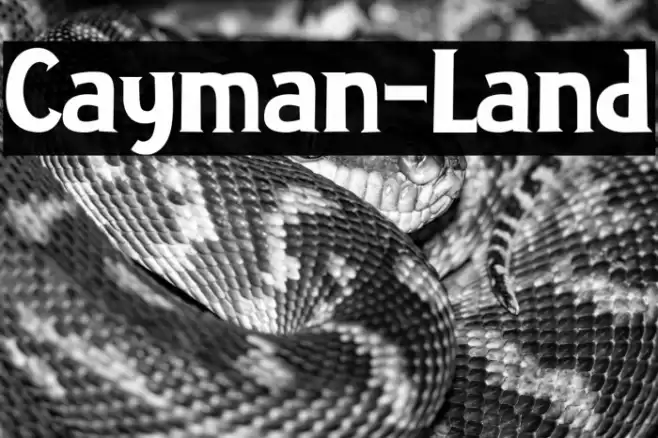 Cayman-Land Font examples