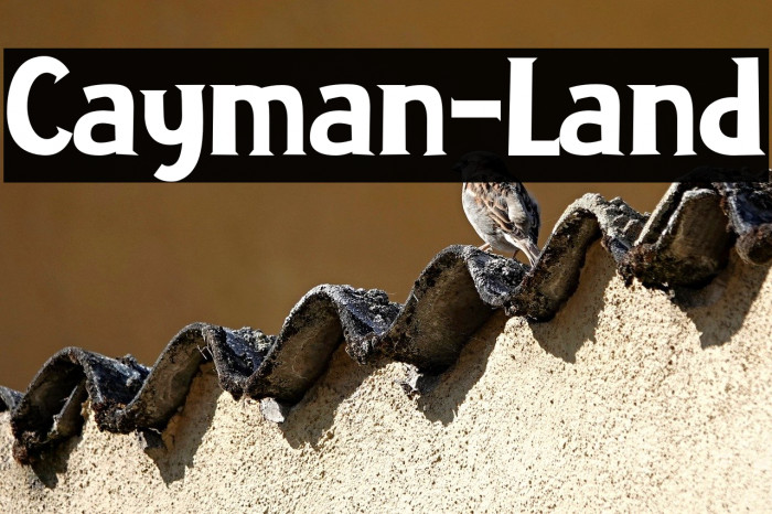 Cayman-Land Example 3