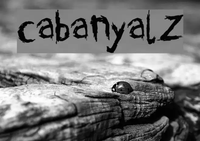 cabanyalZ Fuentes examples