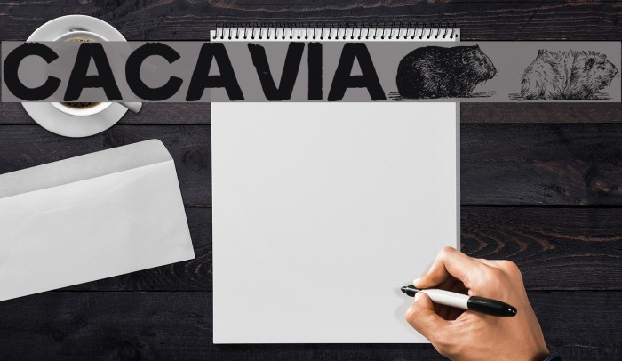 cacavia01 Font examples