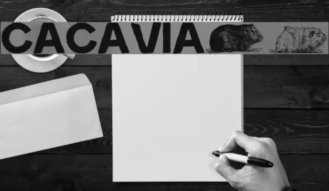 cacavia01 フォント examples