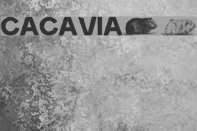 cacavia01 フォント examples