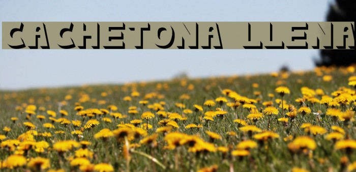 cachetona llena フォント examples