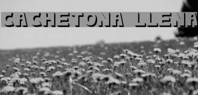 cachetona llena フォント examples