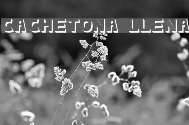 cachetona llena フォント examples