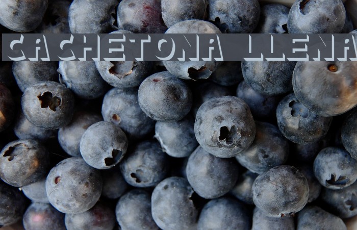 cachetona llena フォント examples
