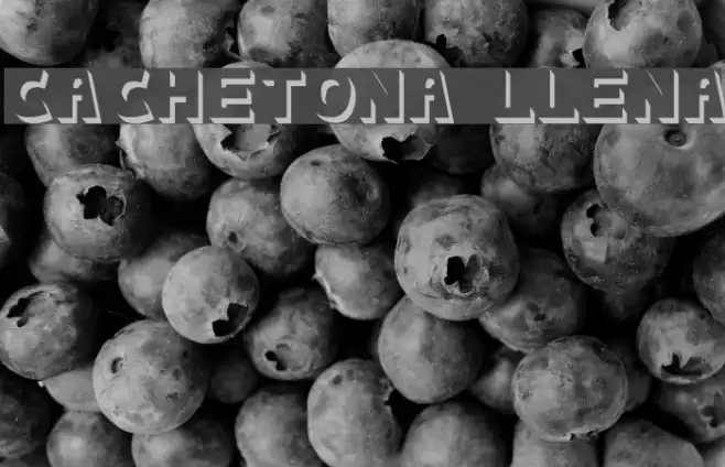 cachetona llena フォント examples